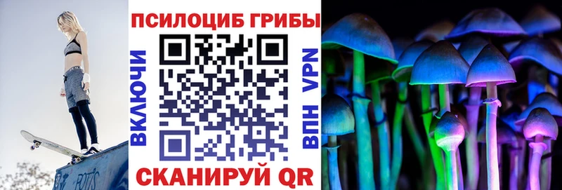 как найти   Усолье-Сибирское  Галлюциногенные грибы Psilocybine cubensis 